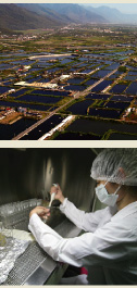 花蓮縣壽豐鄉立川漁場